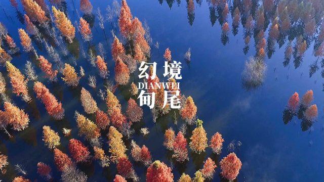 20元的羊汤只有5片肉?别让一碗羊汤坏了事!