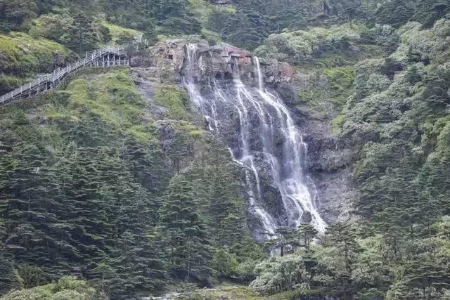 逃离森林边缘